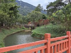 -牛鱼嘴原始生态风景区