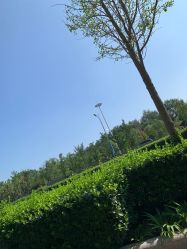 -HEYAN荷妍专业脱毛连锁机构