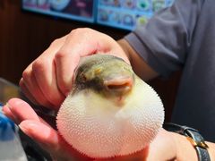 -大潮淮·淮扬菜(何园旗舰店)