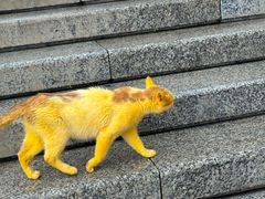 -六鼎山文化旅游区