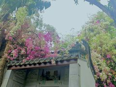 -深圳国际园林花卉博览园