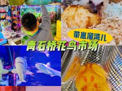 -青石桥花鸟鱼虫市场(叠翠城店)