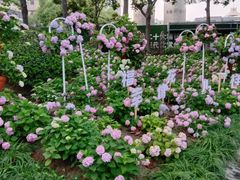 -常州古运河南大街文化旅游区-人民公园