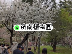 -济南植物园