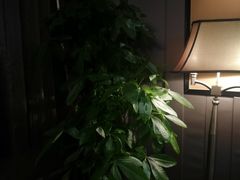 -眉州东坡(通州店)