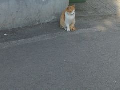 -淮北师范大学-学生2食堂