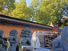 -高旻寺