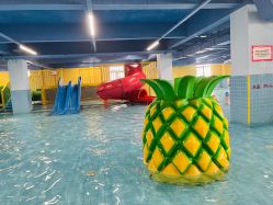 -宝燕乐园(闵行旗舰店)