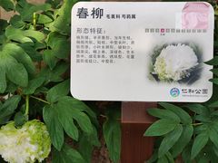 -仁和公园(顺义区)