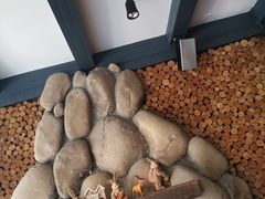 -Shanghai Brew House上海啤酒工坊(老外街店)