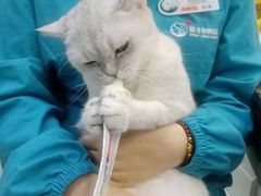 -联合动物医院(光谷诊疗中心)
