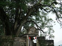 -楠溪江风景名胜区