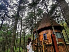 -洛阳白云山景区