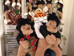 -济州岛泰迪熊博物馆