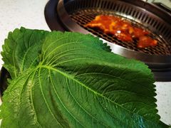 -炭之家·齐齐哈尔非遗烤肉·鲜切直供(中央大街店)