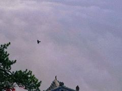 -终南山南五台景区