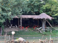 -上海野生动物园