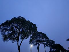 -漕湖湿地公园
