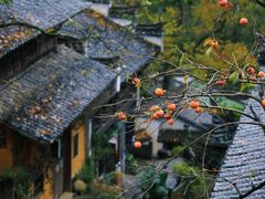-篁岭景区