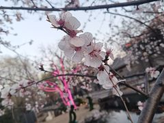 -三里河公园