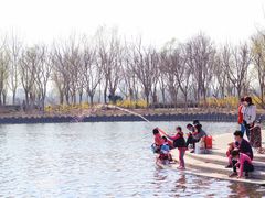 -大兴滨河森林公园