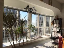 环境-净漪造型 PURE RIPPLE