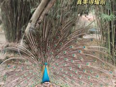 -宁波野生动物园