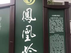 -北京凤凰岭
