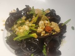 -洞庭家宴·头牌甲鱼(广渠门店)