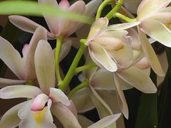 -金陵花卉交易市场