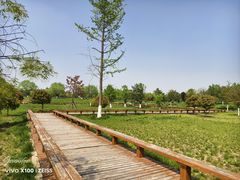 -汉长安城未央宫国家考古遗址公园