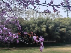-河南省黄河迎宾馆