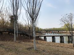 -东郊湿地公园
