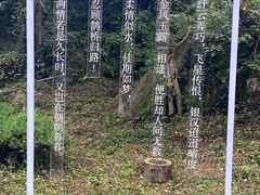 -黄山翡翠谷景区