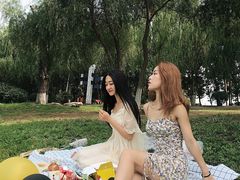 -丁香湖公园