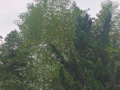 -西安关中民俗艺术博物院