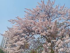 -红星桥(地铁站)