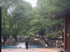 -东明山森林公园