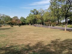 -艾溪湖湿地公园