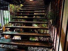 -J Create城市露营咖啡·简餐·宠物(上海动物园店)