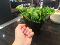 罗马奶油生菜-东椰·海南椰子鸡火锅(朝阳门店)