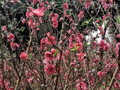 -白水带风景区体育公园