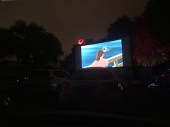 -枫花园汽车电影院(朝阳公园店)