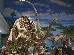 -自贡恐龙博物馆