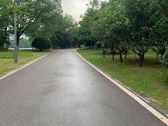 -洋湖国家湿地公园