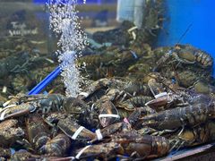 -鲜味食族水产·海鲜餐厅