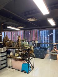 -周忆刺青原创设计定制