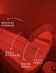 -LUNA皮相美·骨相美高级美感