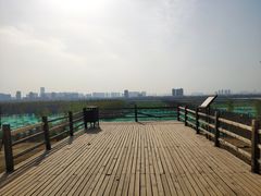 -汉长安城未央宫国家考古遗址公园