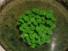 -黔蘑菇四季餐厅(观山湖店)